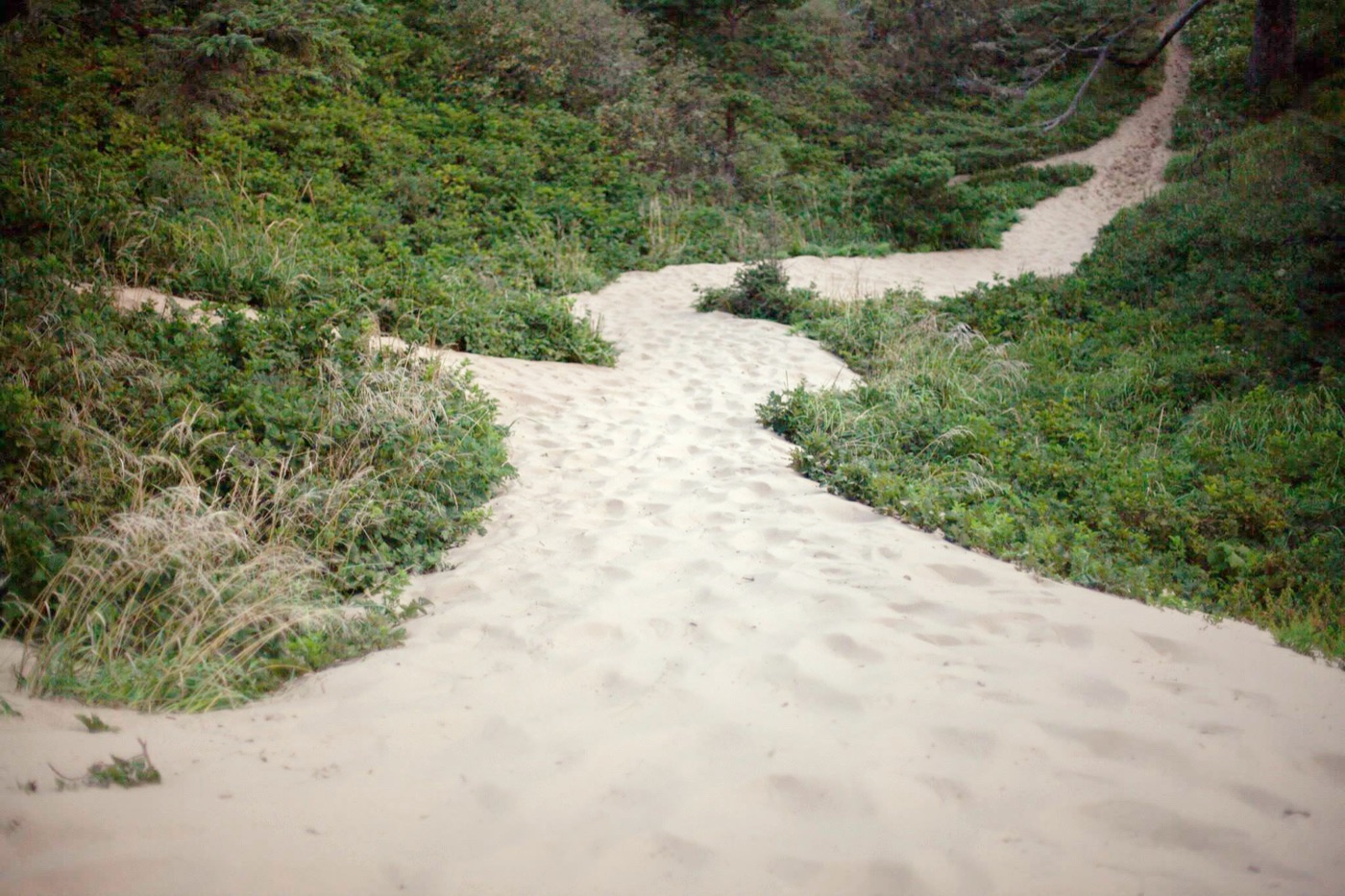 Sand dunes at Cape Kiwanda State Natural Area